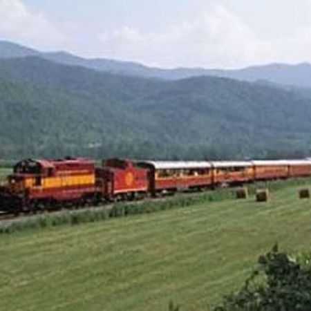 Honeymoon Getaway In Woods Near Noc And Smoky Mtn Rr Bryson City Exterior foto