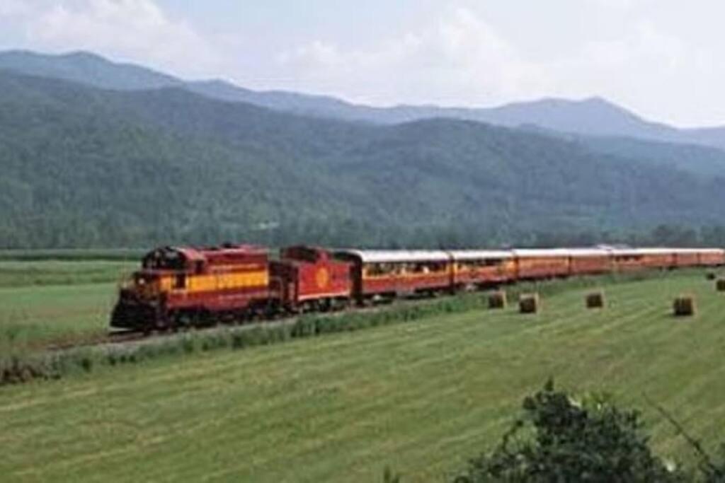 Honeymoon Getaway In Woods Near Noc And Smoky Mtn Rr Bryson City Exterior foto