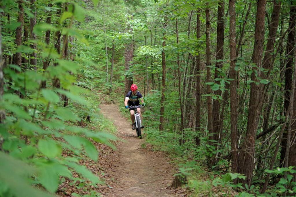 Honeymoon Getaway In Woods Near Noc And Smoky Mtn Rr Bryson City Exterior foto